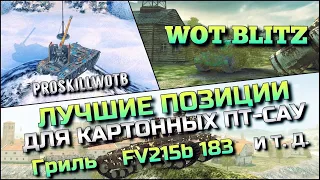 🔴WoT Blitz | ОБУЧЕНИЕ ОТ СТАТИСТА❗️КАКИЕ ПОЗИЦИИ ЗАНИМАТЬ НА КАРТОННЫХ ПТ-САУ❗️ГРИЛЬ FV 183 И Т.Д.