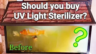 What will happen when you add a UV LIGHT STERILIZER to your Aquarium / Fish Tank?