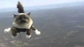Летающий кот с парашутом