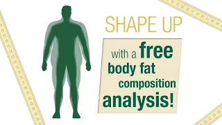 Body Fat Composition Analysis