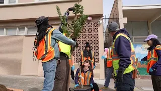 Arbor Day 2024 - Public Works TV Episode 75