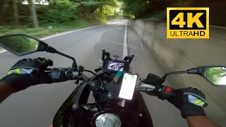 The perfect sound of 300cc bike | voge 300 | motorcycle POV | 4K | alps rider