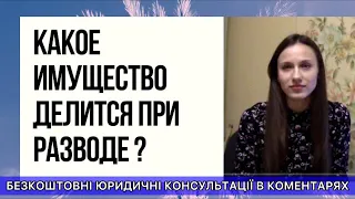 КАКОЕ ИМУЩЕСТВО ДЕЛИТСЯ ПРИ РАЗВОДЕ ?