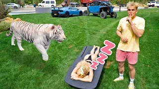 HOT GIRLFRIEND WAKES UP BY TIGER PRANK!