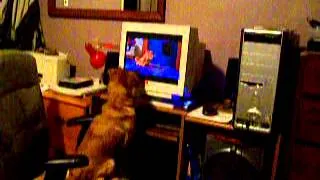 Dog Watching Movie Garlfield - This was her favorite - Part 2