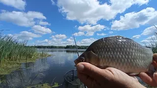 Kauno marios Nemunas - karosai