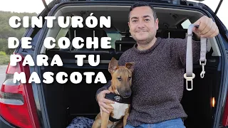 Cinturón de seguridad de coche para Perros🐾🐶🚙