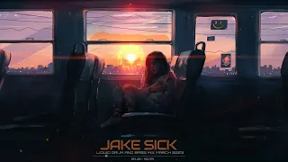 Liquid Drum And Bass Mix March 2023 by Jake Sick