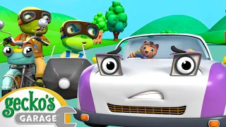 Grandma Gecko vs Weasel's Sports Car | Gecko's Animal Pals | Cartoons for Kids