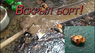 Вскрыл борт возле ямы с самородками!!! Там оно ЗОЛОТО!!!!