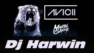 Dj Harwin X Erik Arbores X Avicii - I Could Be In Vollume! (FREE DOWNLOAD!)