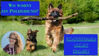 Wie wird ein Hund zum Polizeihund? Kinderfragen leicht erklärt