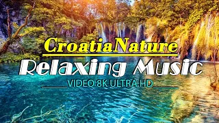 Brazil Croatia VIDEO 8K ULTRA HD - A scenic relaxing film with inspiring music - The Beat of Nature