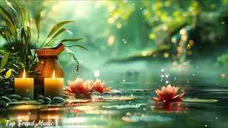 Relaxing Music - Peaceful Piano Music, Nature Sounds, Meditation Music.