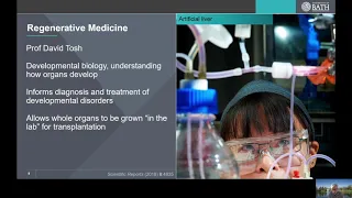 An introduction to biomedical sciences at Bath