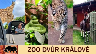 Safari Park Dvůr Králové - Zoo Dvur Kralove