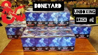 D&D BONEYARD - Brick Unboxing (1 of 4)