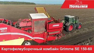 Картофелеуборочный комбайн Grimme SE 150-60 в работе на белорусских полях