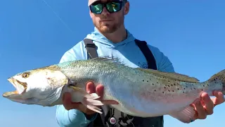 Simple Trick To Catch Big Trout On Paddletails (In Early Spring)