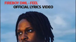 Fireboy dml - feel (official lyrics video)