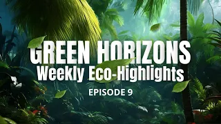 Green Horizons: Weekly Eco Highlights - Week 9: The Project of the Humpback Whales