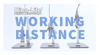 About Working Distance - Dino-Lite Digital Microscopes