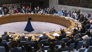 Gaza: le Conseil de sécurité de l'ONU "exige" une aide humanitaire "à grande échelle"
