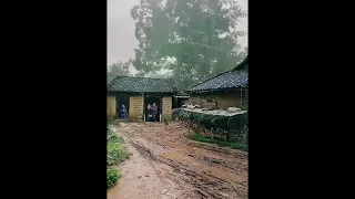 Rain piano lovers  Sleeping Soundly with Heavy Rain Thunder Roaring Above the Corrugated Iron