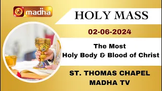 02 JUNE 2024 | Holy Mass in Tamil 8.15 AM (Sunday Second Mass) | MADHA TV