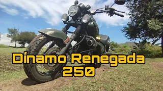 Review Dinamo Renegada 250