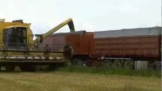 PUINTIA 2012 - Harvesting Barley 2012
