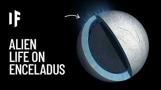 What If We Found Alien Life on Enceladus?