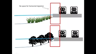 Protecting open space and tidal migration corridors to increase coastal resilience