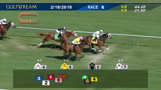 Gulfstream Park Race 6 | February 18, 2018