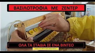 ΒΑΣΙΛΟΤΡΟΦΙΑ ΜΕ ΖΕΝΤΕΡ . Όλα σε ένα βίντεο !!