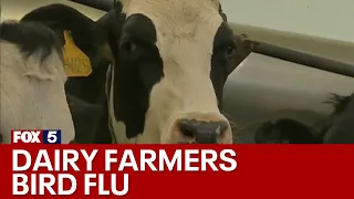 Farmworker tests positive for bird flu | FOX 5 News