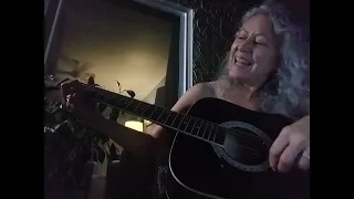 Acoustic take on Gold Dust Woman by Fleetwood Mac