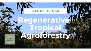 Tropical Agroforestry and Regenerative Farming in Kauai, Hi