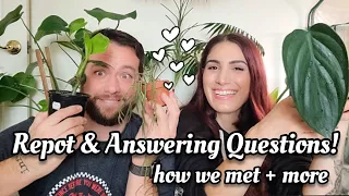 Repotting & Answering Your Questions About Us!! how we met, how long we've been together + more! 💙💜