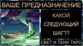 ВАШЕ ПРЕДНАЗНАЧЕНИЕ: КАКОЙ СЛЕДУЮЩИЙ ШАГ??  #таро #таропрогноз #таросегодня