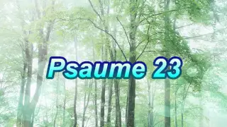 Psaume 23