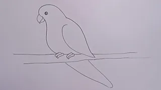 how to draw parrot drawing easy and very simple drawing@DrawingTalent