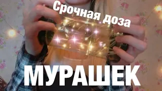 АСМР Триггеры за 3 Минуты | Triggers in 3 Minutes ASMR