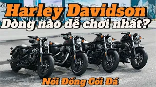 Ngoài Harley 48 thì con nào "dễ chơi" nhất? - Review Harley Iron & Forty Eight | Vuong Khang Motor