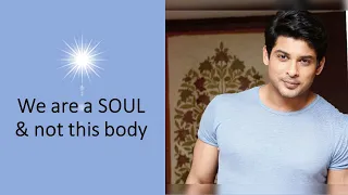 Sidharth Shukla - We are a SOUL & not this body