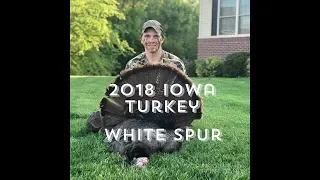 2018 Iowa Turkey Ep. 1 "White Spur"