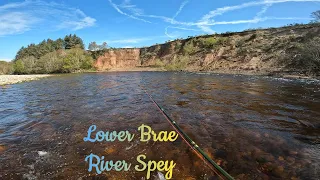 Salmon Fly Fishing Lower Brae River Spey.