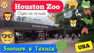 Houston Zoo. Зоопарк в Хьюстоне, Техас, США. Один из лучших в Америке. Прогулка выходного дня.