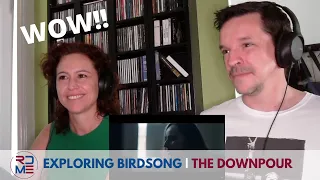 RDME - EXPLORING BIRDSONG | THE DOWNPOUR First Listen