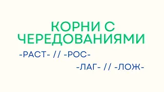 Правописание корней с чередованием букв А и О. -Раст- // -рос-, -лаг- // -лож-.